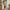 websiteheader_1200x606px_algemeen